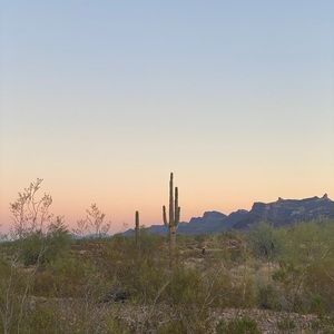 Meet your Posher, Showroom